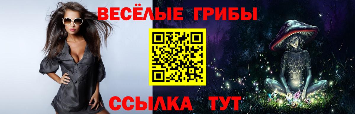 Псилоцибиновые грибы Magic Shrooms  Вход с VPN  купить  цена  Саранск 