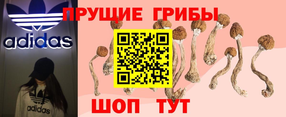 Псилоцибиновые грибы ЛСД Саранск